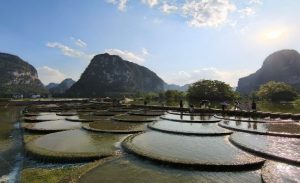 pg电子_首页官网入口