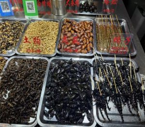 pg电子_首页官网入口